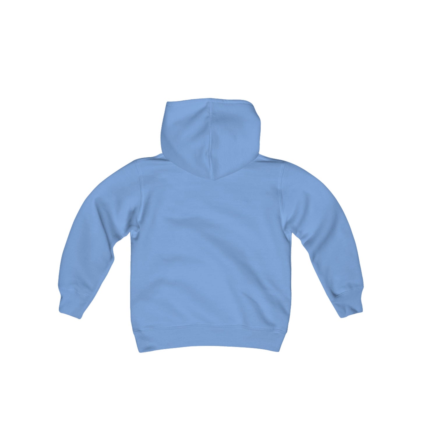 Project 310: Heavy Blend Hooded Sweatshirt