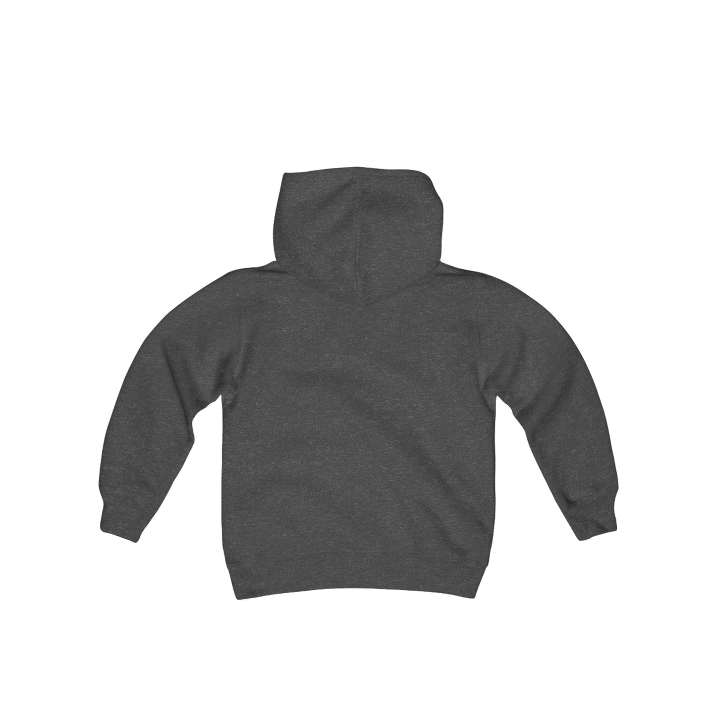Project 310: Heavy Blend Hooded Sweatshirt